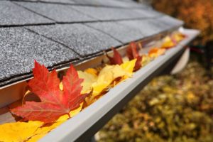 Leaves in a rain gutter Roofing Services Rock Hill SC